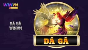 Đá gà WINVN