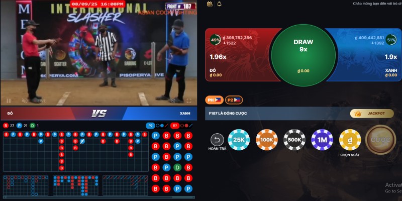 Đá gà WINVN 1 Sảnh đá gà Winvn trở thành địa chỉ săn đón của nhiều người